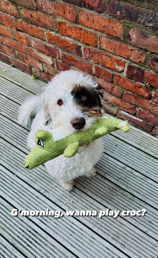 Alligator plyslegetøj, blå