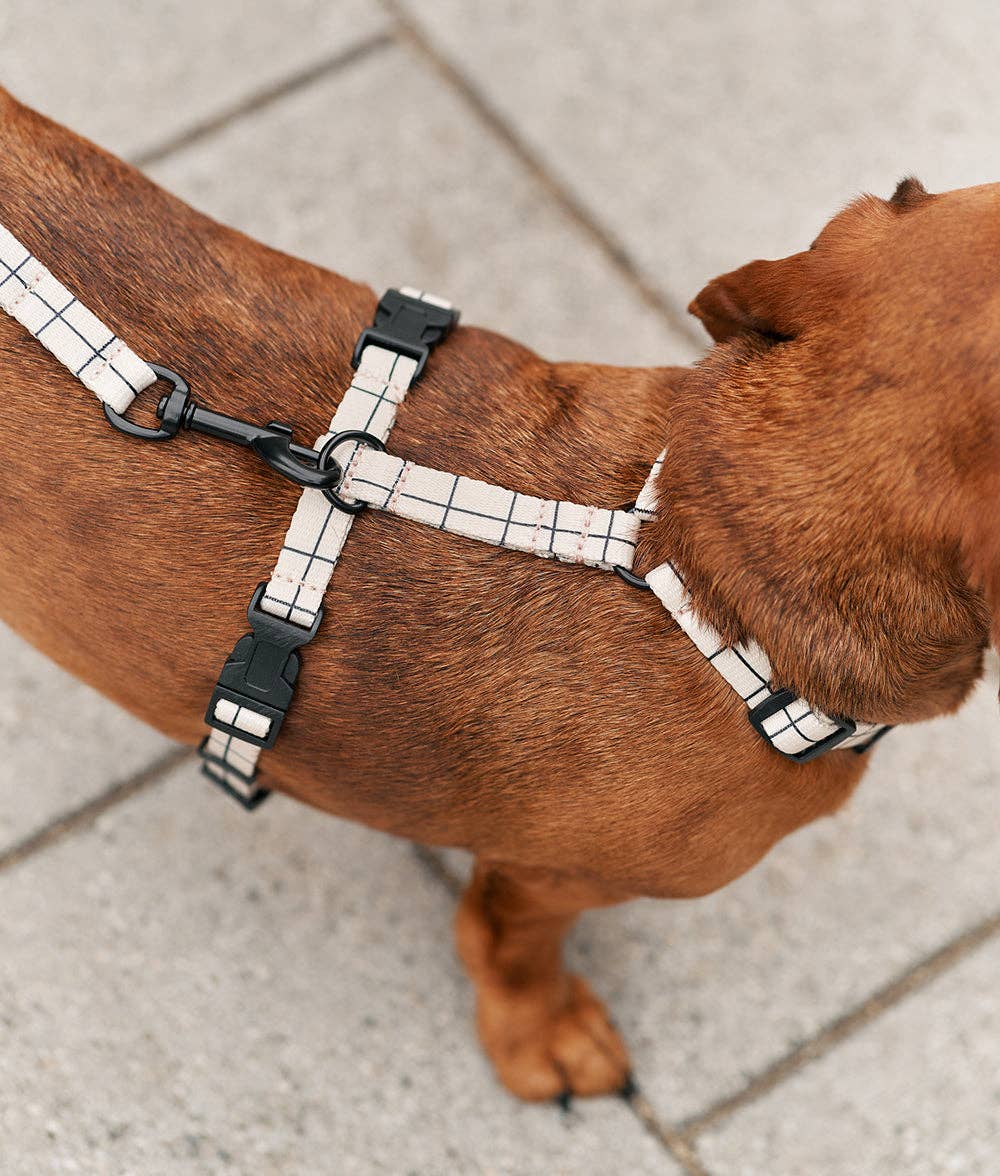 Cafide - Juno hundesele, Linea Beige