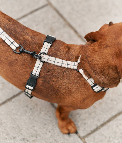 Cafide - Juno hundesele, Linea Beige