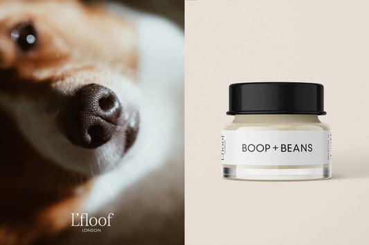 Naturlig Næse & Pote Balm - 50ml - L'floof BOOP + BEANS