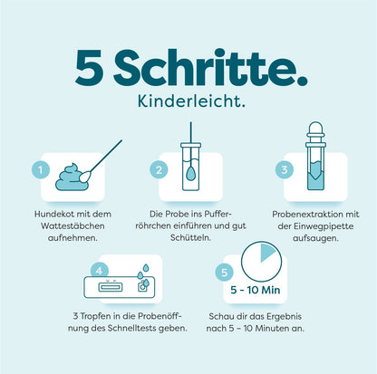 Giardia hjemmetest - svar på 10 minutter - pakke med 5 test