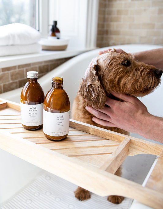 Økologisk hundeshampoo, 300 ml.