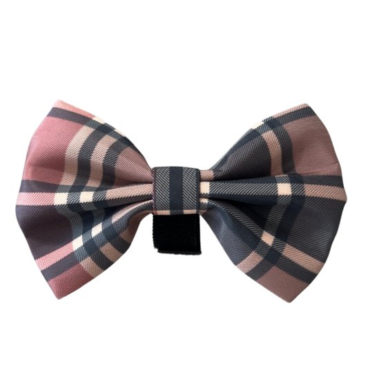 Butterfly til de elegante hunde