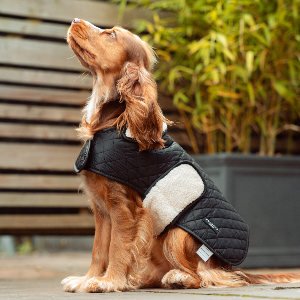 LUXE Quilted Dog Coat 🐾 - Midnight Black