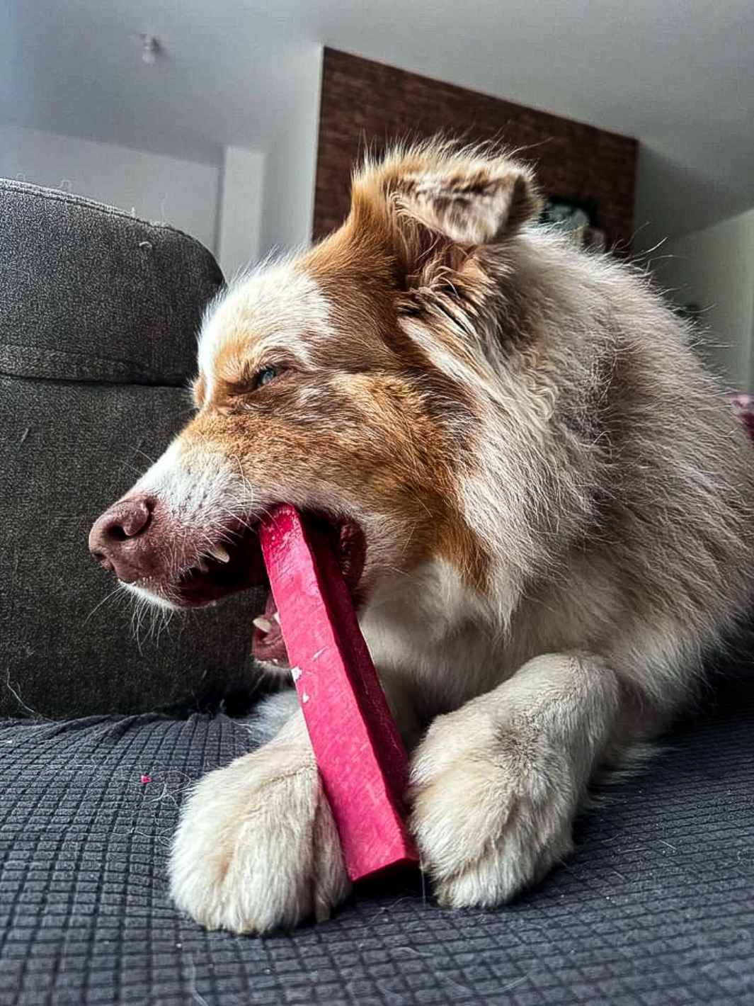 Yak osteben med mango