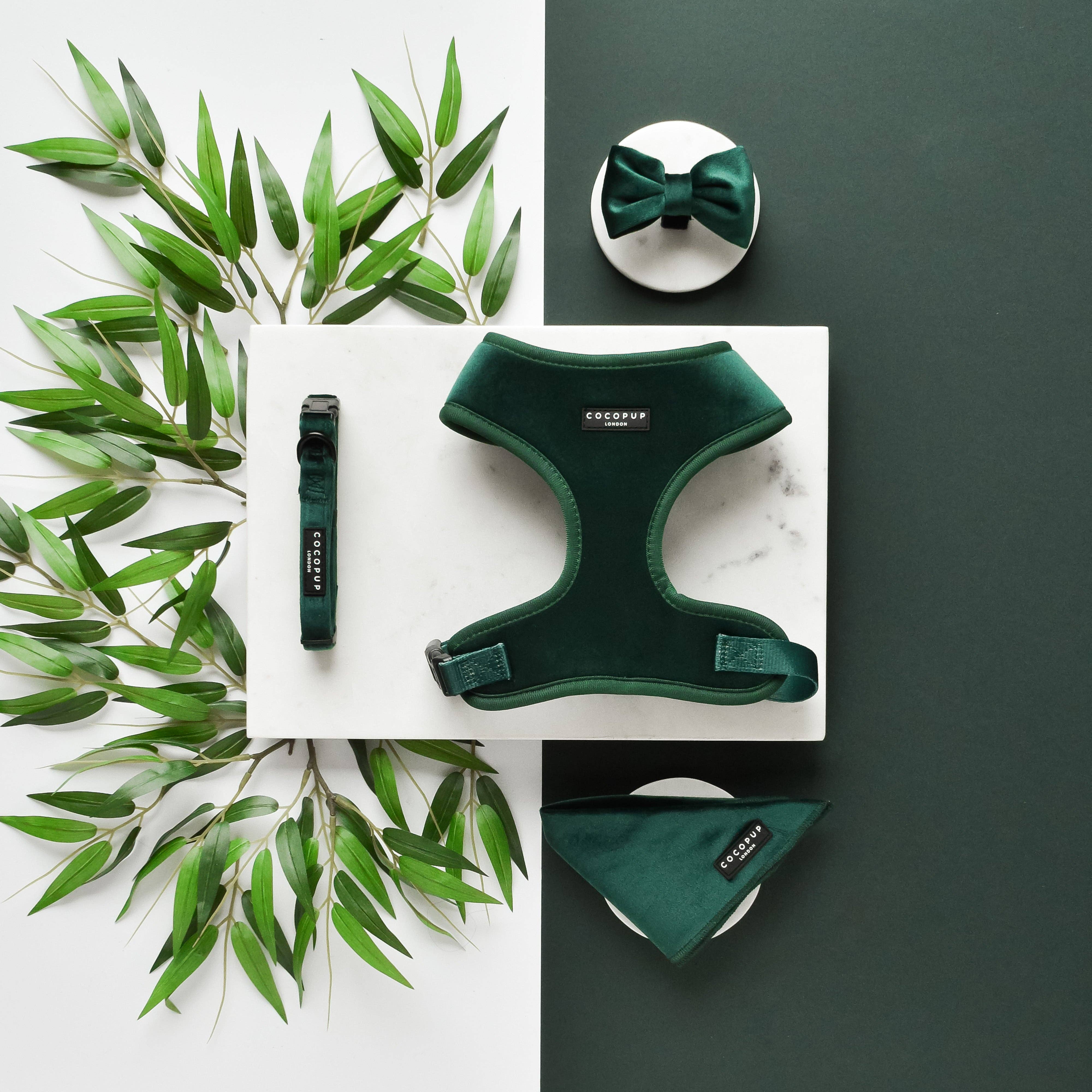 Stilfuld og festlig butterfly til din hund 🎀 - Forest Green