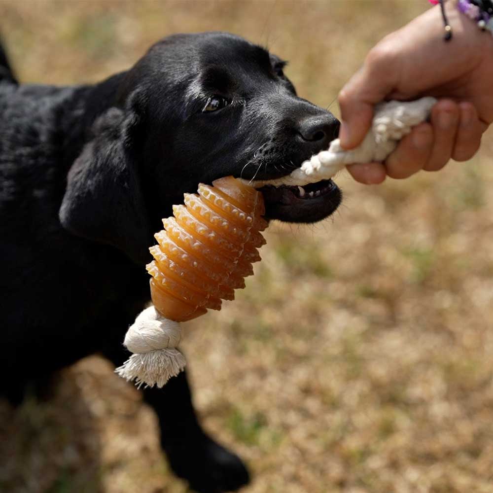 Naturligt hundeæegetøj - Rugby Spike