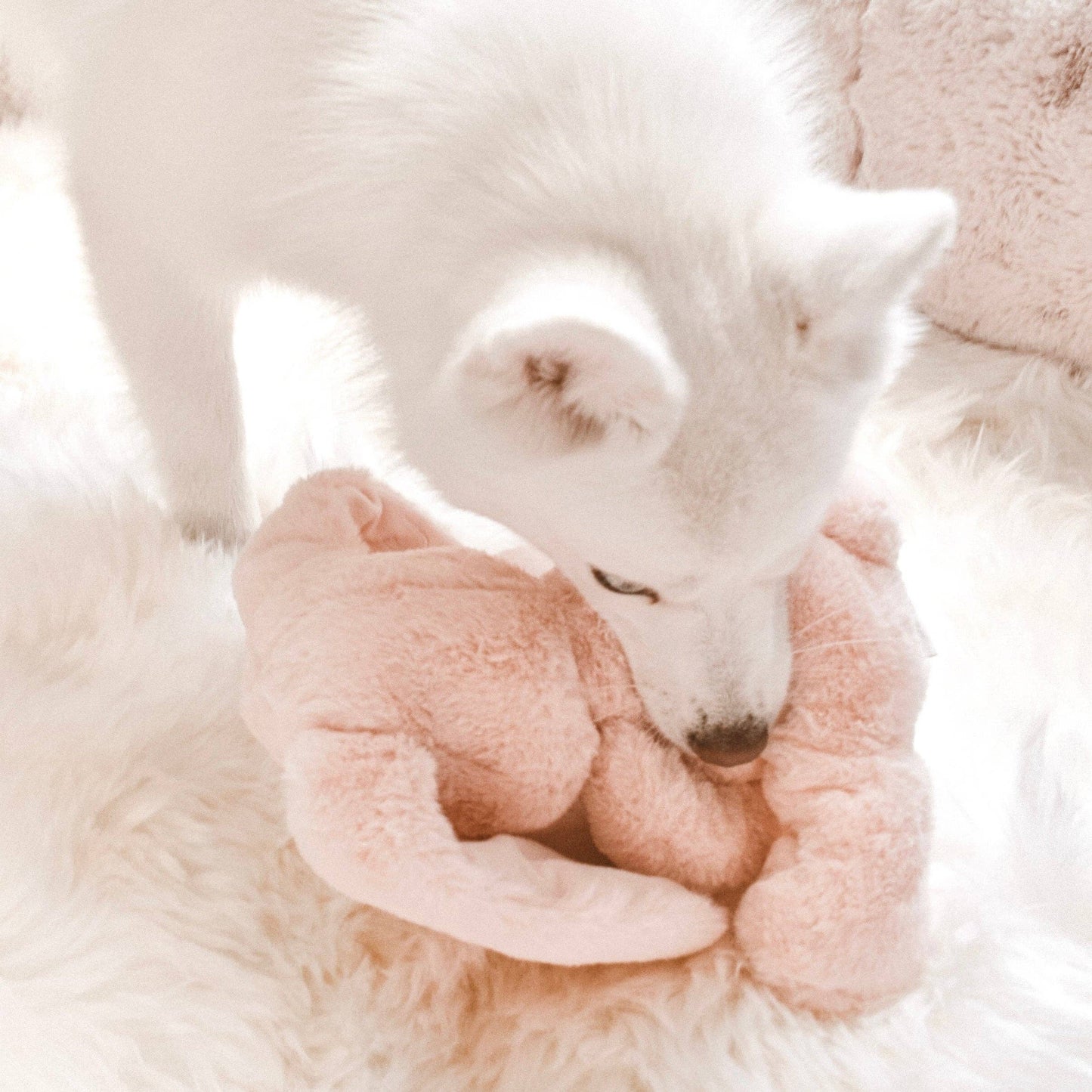 Ruby Plush
