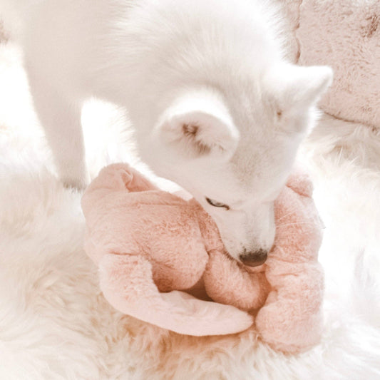 Ruby Plush