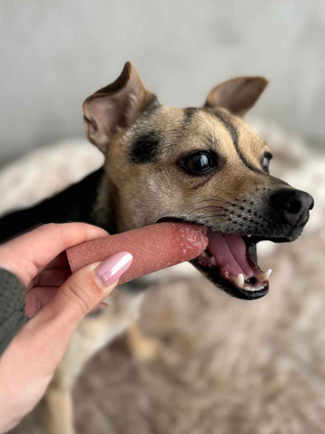 Yak osteben med mango