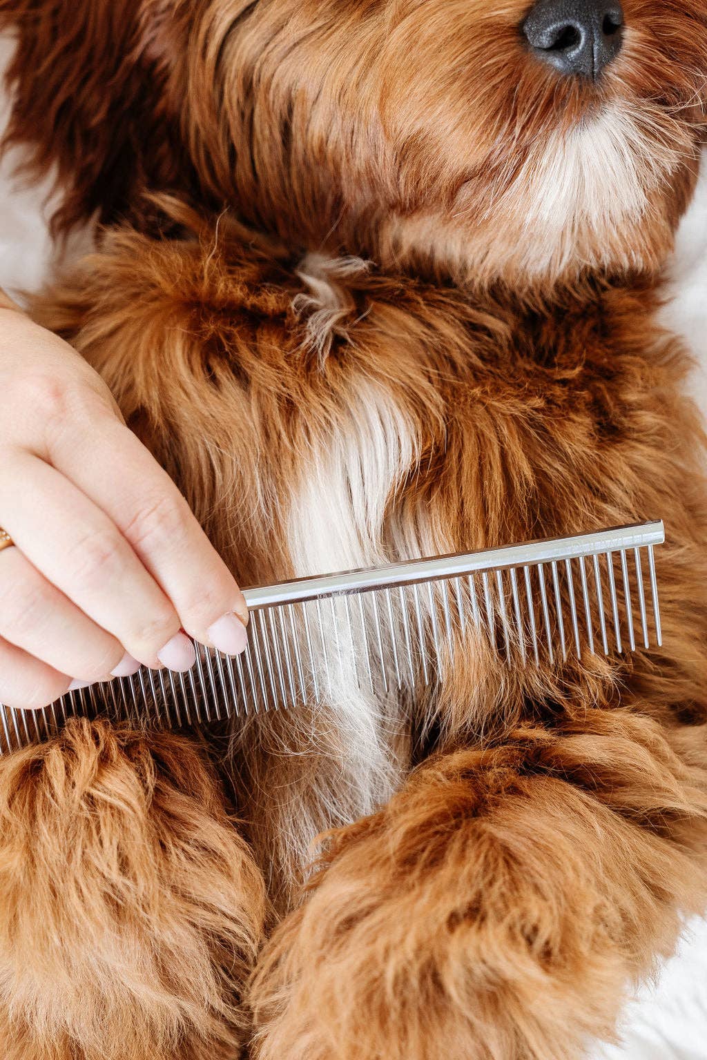 Pup Parent Essentials