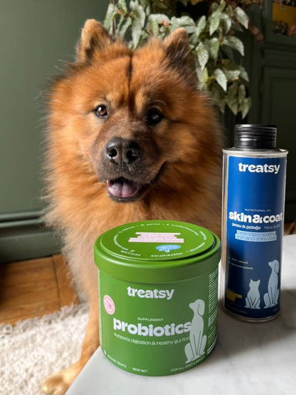 Probiotika tilskud