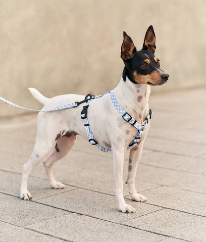 Cafide - Juno hundesele, Vichy blå