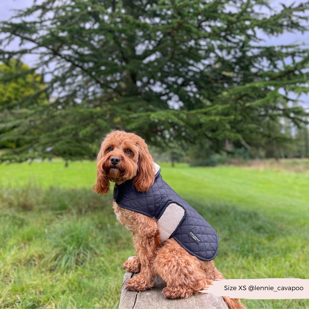 LUXE Quilted Dog Coat 🐾 - Midnight Black