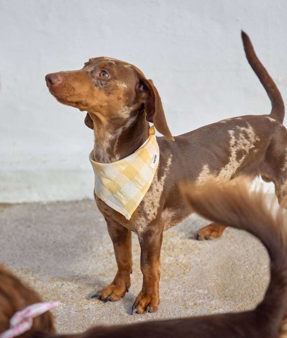 Bandana Vichy, gul
