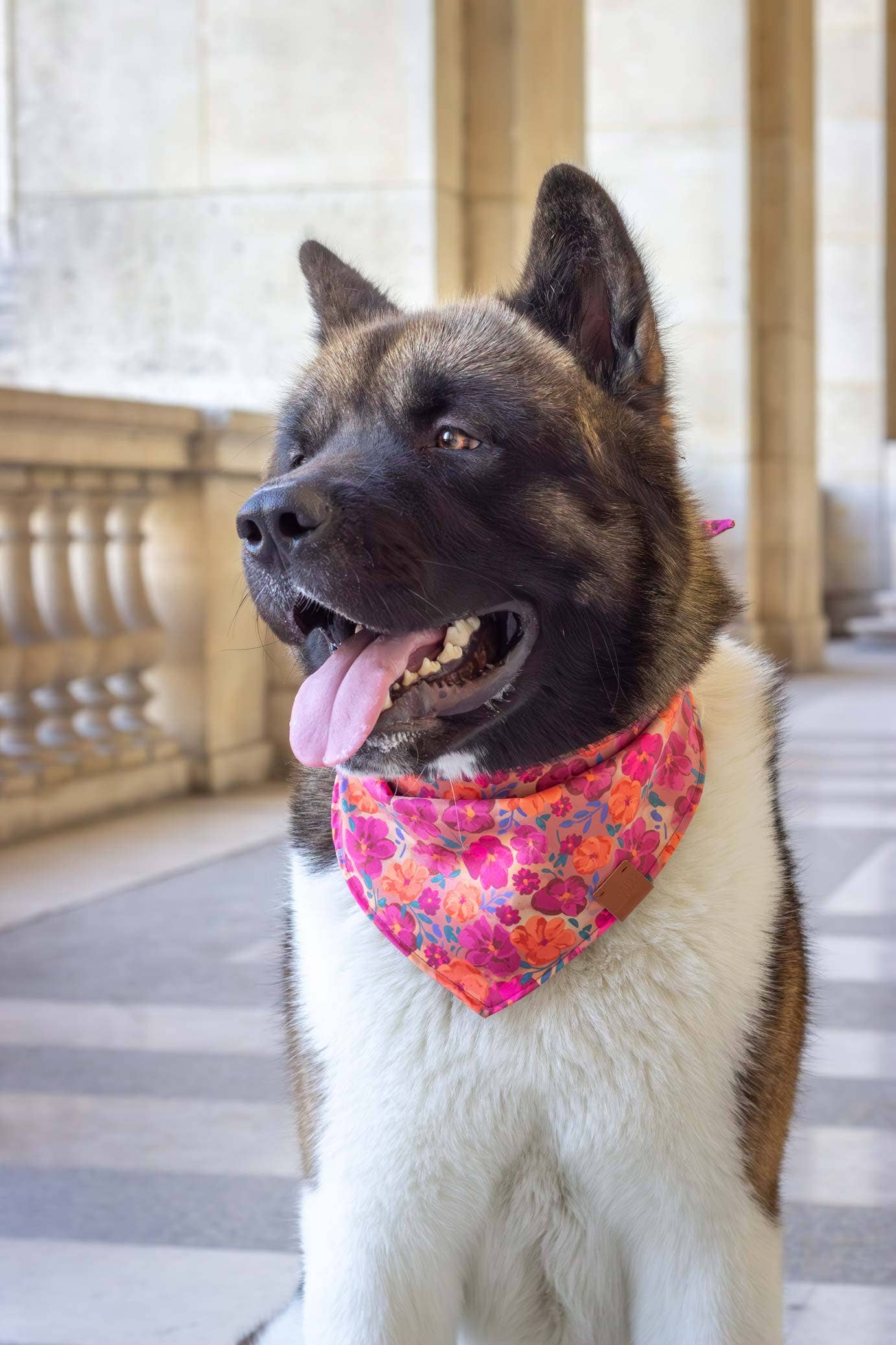 Bandana - Bellagio