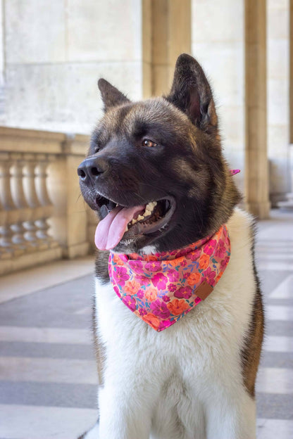 Bandana - Bellagio