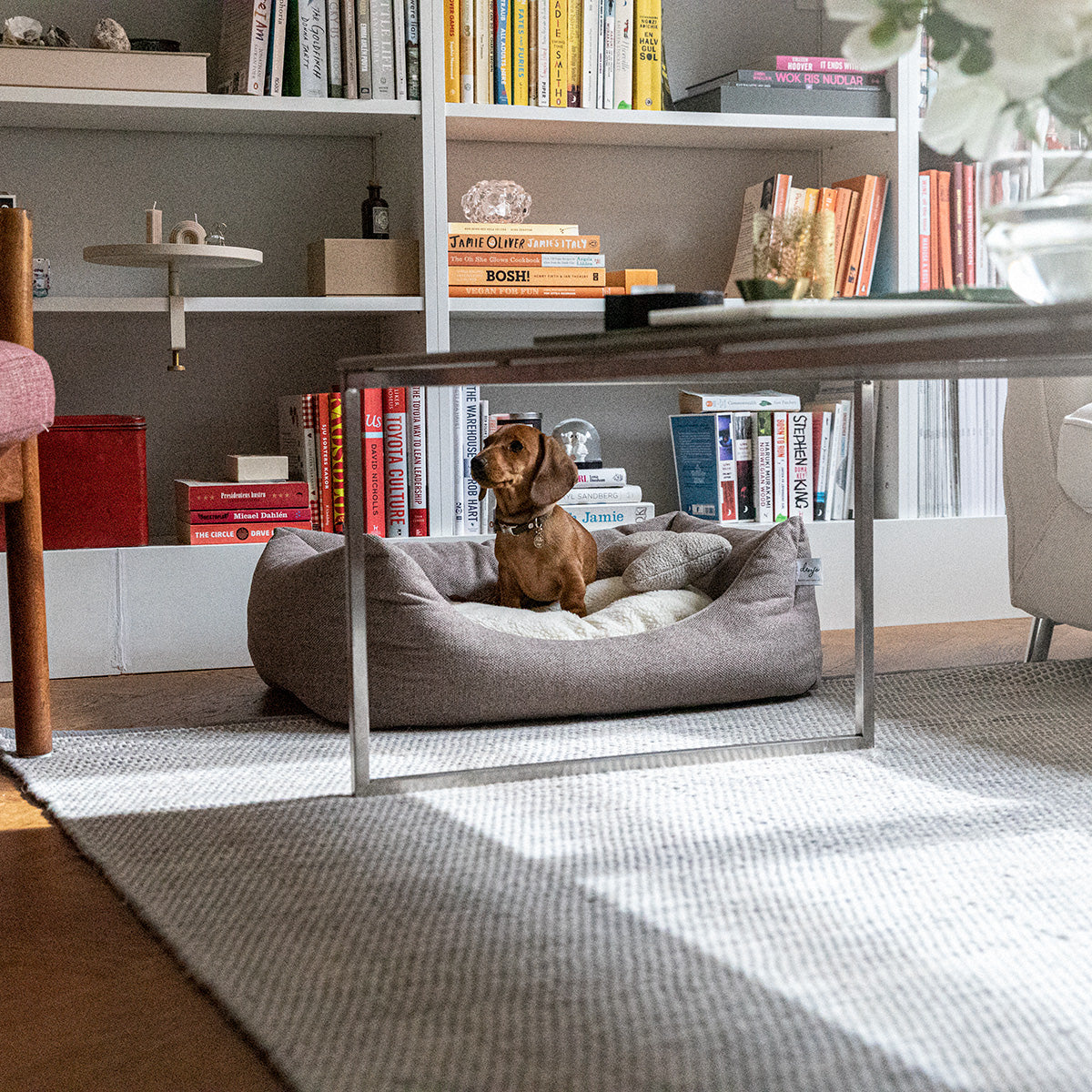 Denjo Dogs - Teddy Lounge, True Taupe