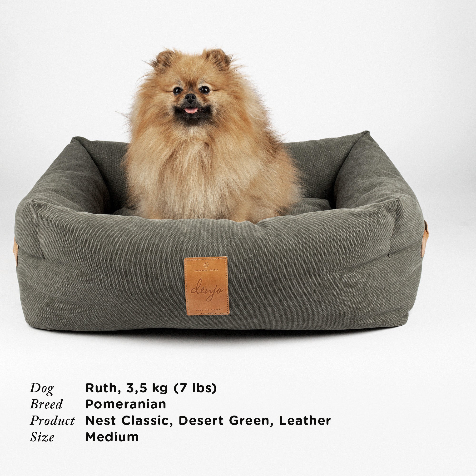 Denjo Dogs - Classic nest, Desert Green med læderdetaljer