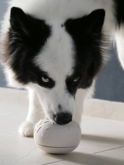 Aktiveringsdonut - Slowfeeder - Sand