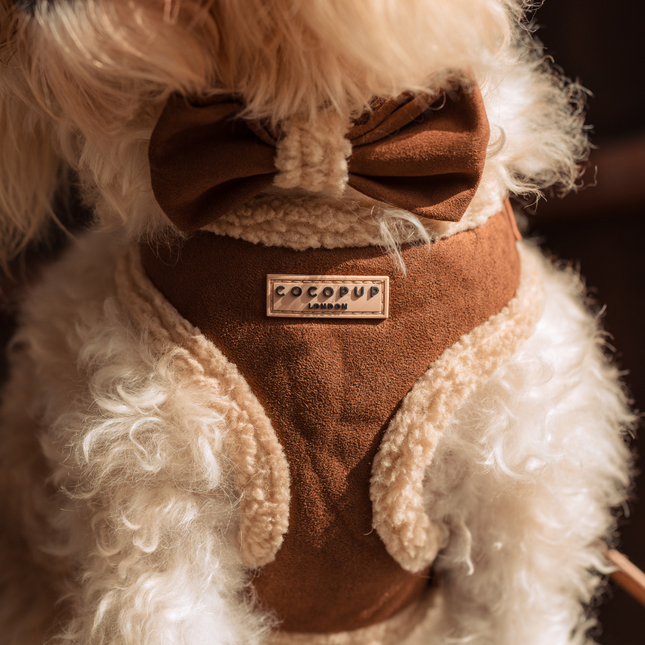 Aviator sele - Brun