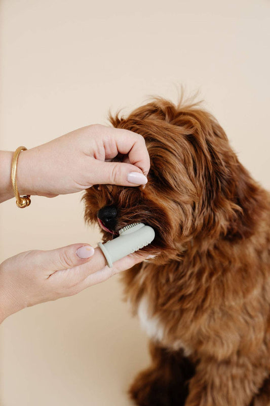 Puppy Breath fingertandbørste