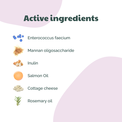 BuddyCare - Probiotikum