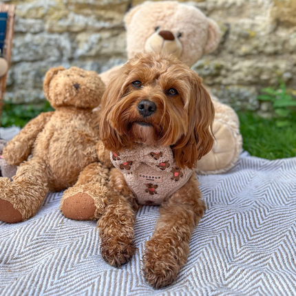 Teddy sele med broderede teddybjørne 🧸