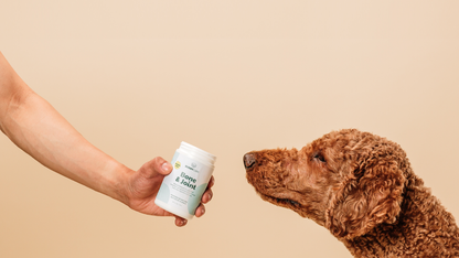 Buddycare - Hofte & Led