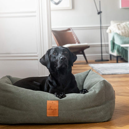 Denjo Dogs - Classic nest, Desert Green med læderdetaljer