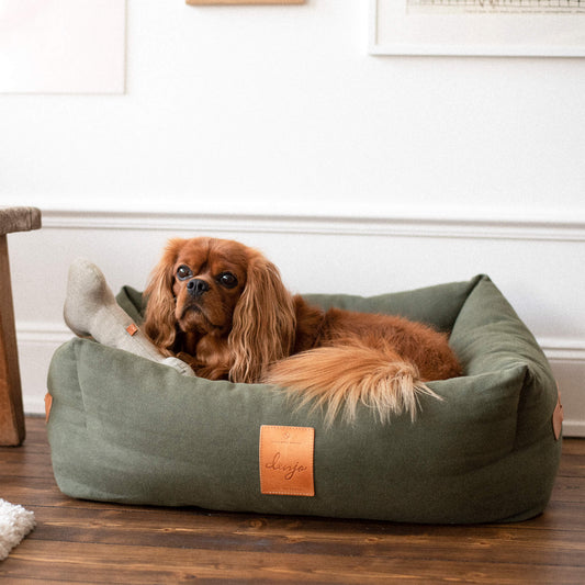 Denjo Dogs - Classic nest, Desert Green med læderdetaljer