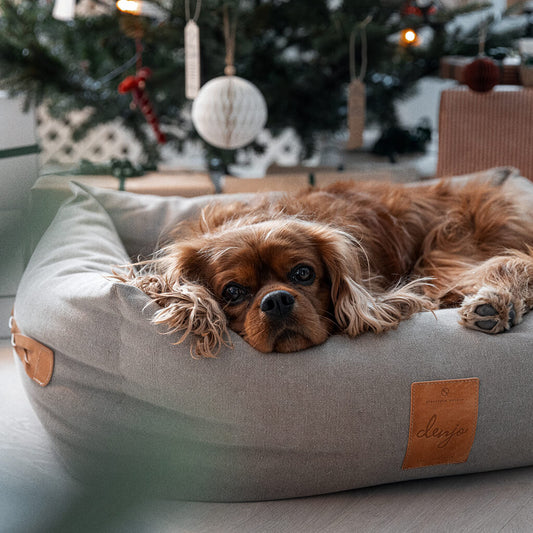 Denjo Dogs - Classic nest, Sand Beige med læderdetaljer