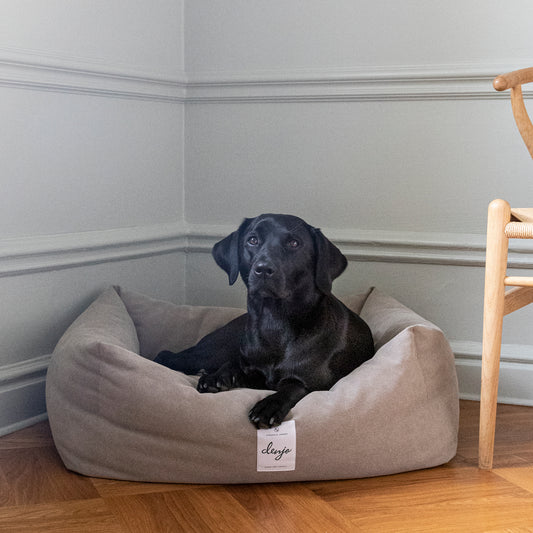 Denjo Dogs - Classic nest, Sand beige