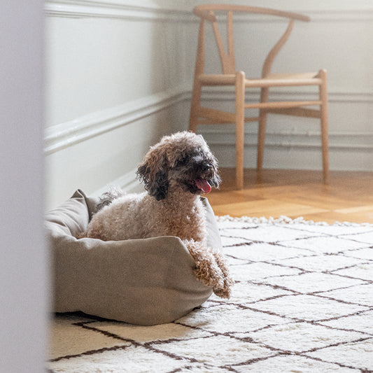 Denjo Dogs - Classic nest, Sand beige