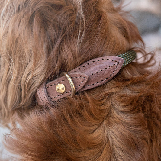 Denjo Dogs - Torekov halsbånd - Shimmer Green