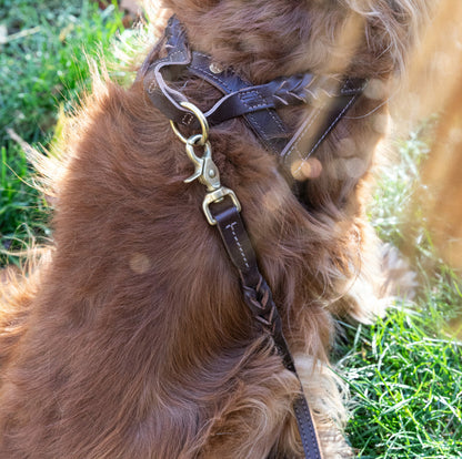 Denjo Dogs - Stockholm Hundesele