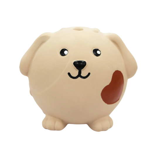 Pivedyr, hund