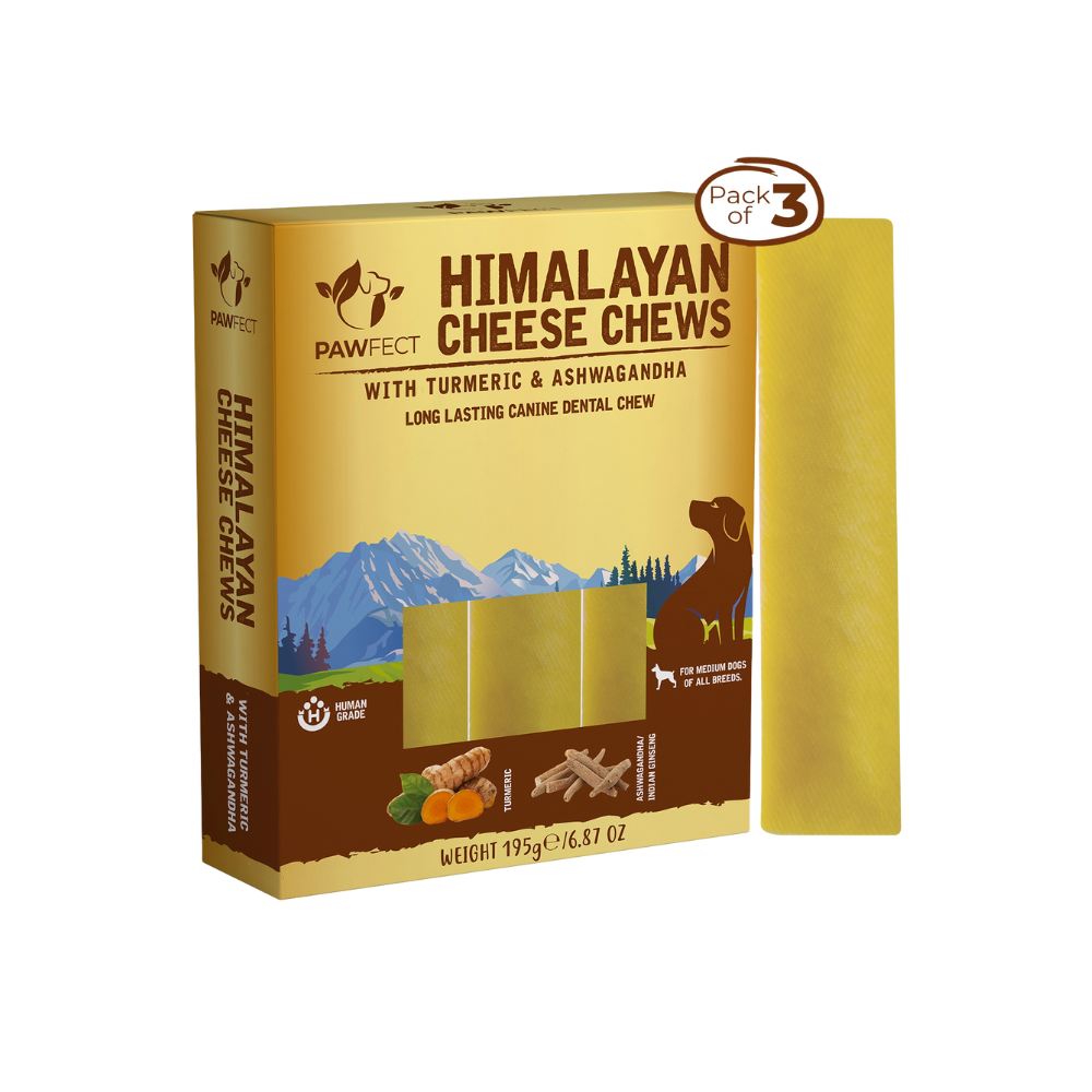 Himalaya osteben med gurkemeje