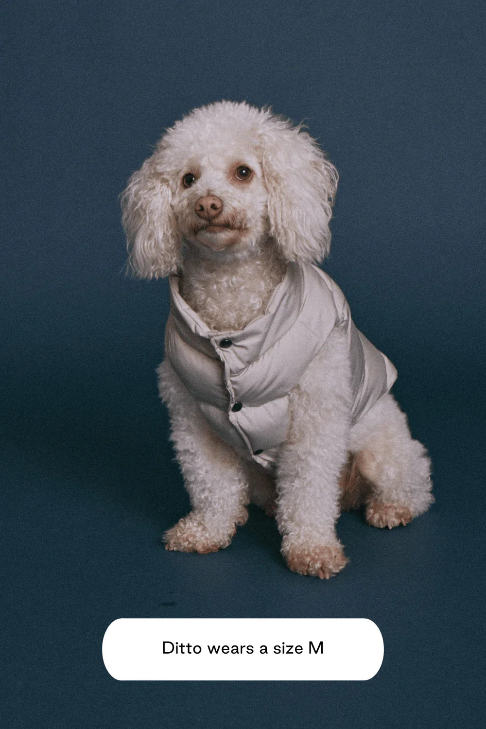 Puffer hundejakke, sand